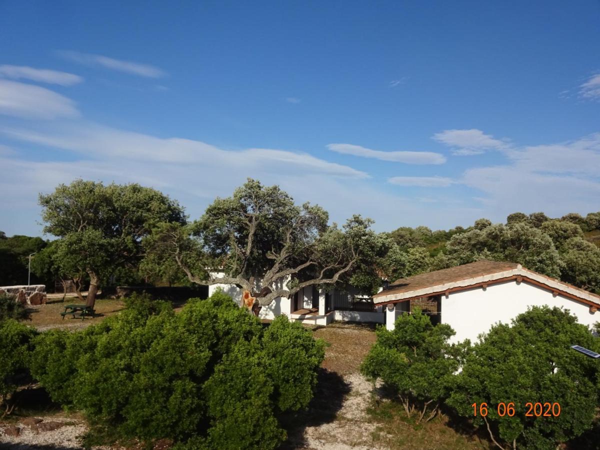 Agriturismo Conca' E Janas Dorgali Exterior photo
